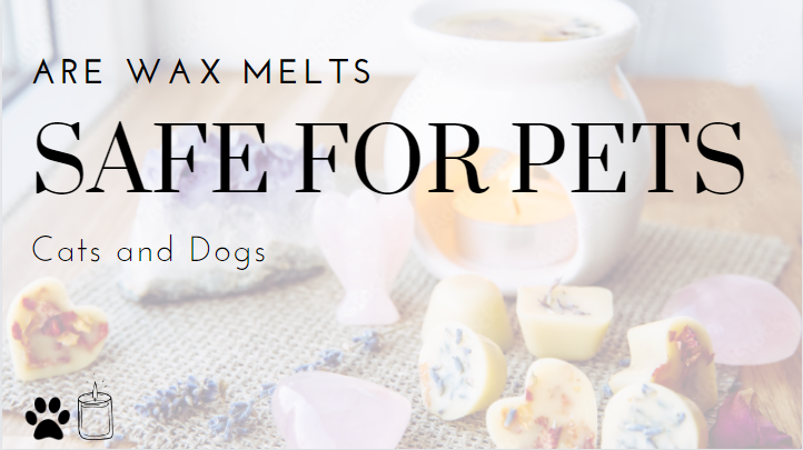 Are Wax Melts Safe For Pets Cats And Dogs? - Ronxs